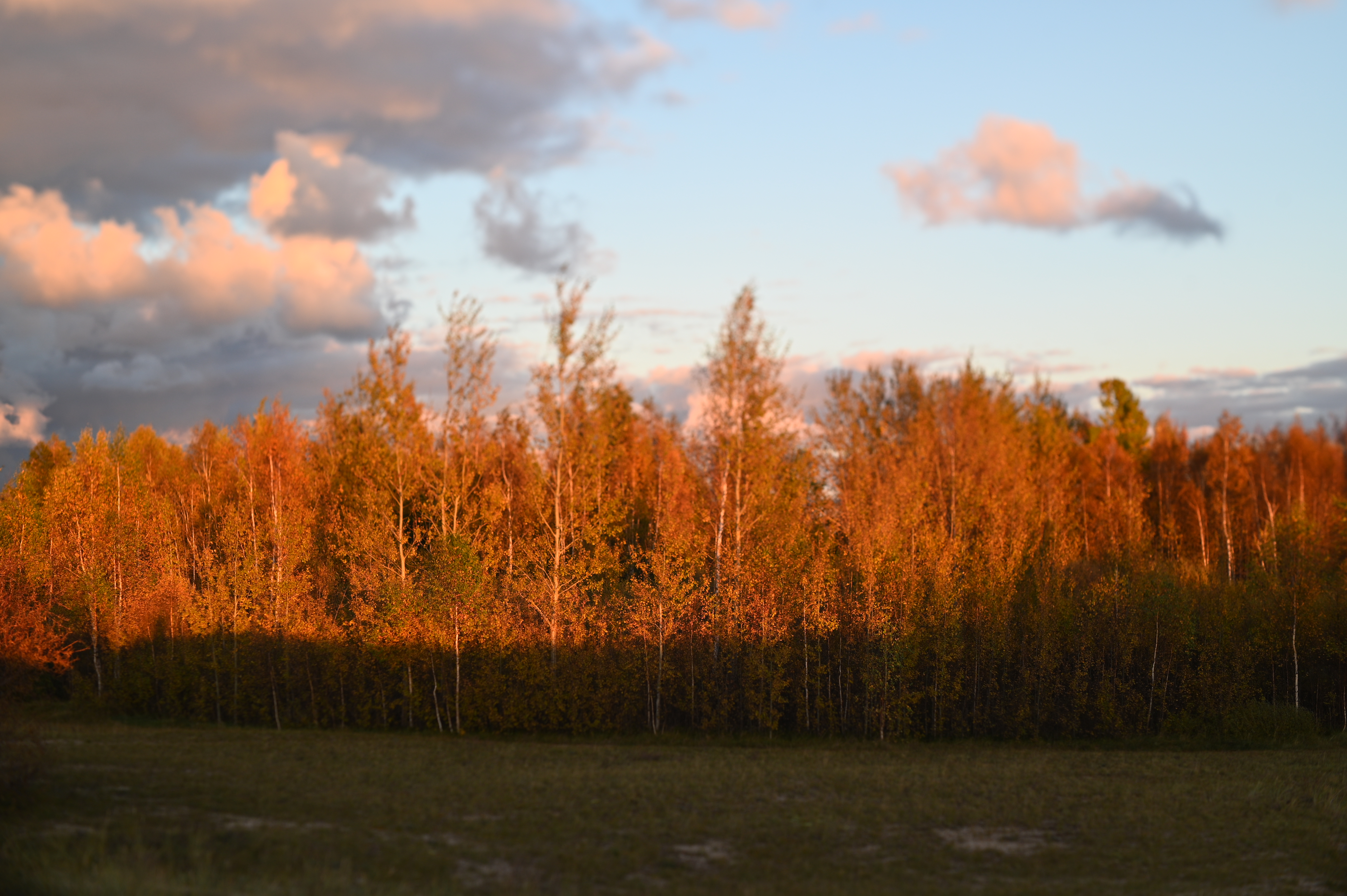 2025/10/18 - walk/DSC_0378.JPG